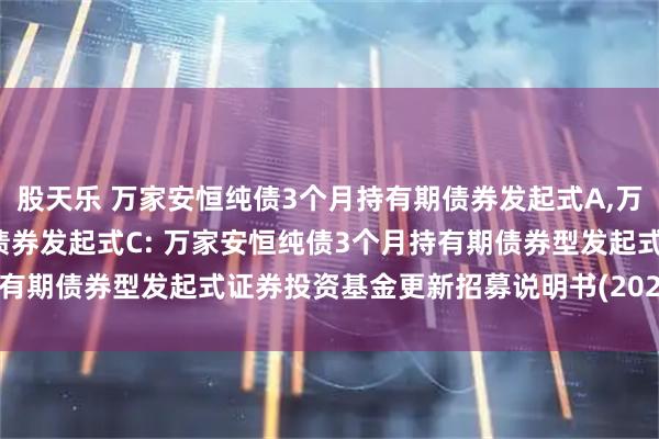股天乐 万家安恒纯债3个月持有期债券发起式A,万家安恒纯债3个月持有期债券发起式C: 万家安恒纯债3个月持有期债券型发起式证券投资基金更新招募说明书(2025年第1号)