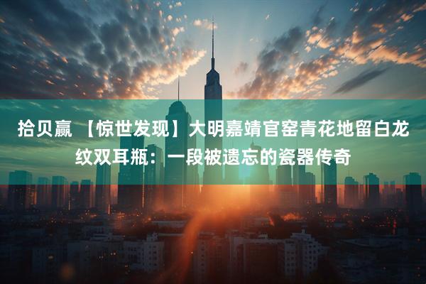 拾贝赢 【惊世发现】大明嘉靖官窑青花地留白龙纹双耳瓶：一段被遗忘的瓷器传奇