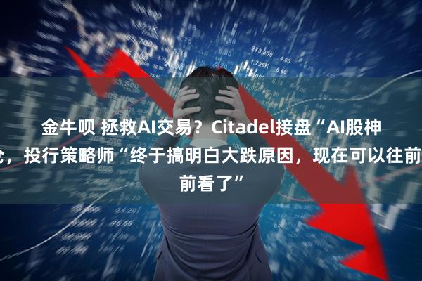 金牛呗 拯救AI交易？Citadel接盘“AI股神”持仓，投行策略师“终于搞明白大跌原因，现在可以往前看了”